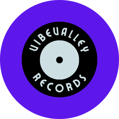 VibeValley Records